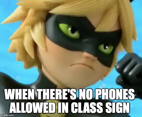 WHEN THERE'S NO PHONES ALLOWED IN CLASS SIGN | image tagged in so true memes,lol so funny,funny memes,angry cat | made w/ Imgflip meme maker