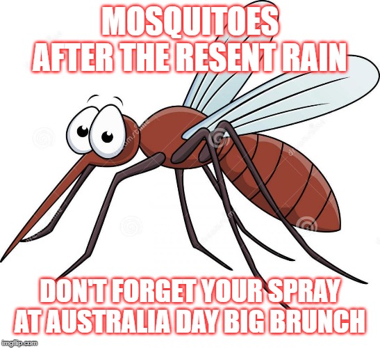 cute mosquito | MOSQUITOES AFTER THE RESENT RAIN; DON'T FORGET YOUR SPRAY AT AUSTRALIA DAY BIG BRUNCH | image tagged in cute mosquito | made w/ Imgflip meme maker