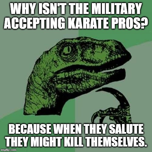 Philosoraptor | WHY ISN'T THE MILITARY ACCEPTING KARATE PROS? BECAUSE WHEN THEY SALUTE THEY MIGHT KILL THEMSELVES. | image tagged in memes,philosoraptor | made w/ Imgflip meme maker