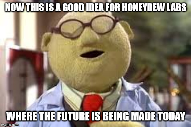 Bunsen Honeydew | NOW THIS IS A GOOD IDEA FOR HONEYDEW LABS WHERE THE FUTURE IS BEING MADE TODAY | image tagged in bunsen honeydew | made w/ Imgflip meme maker