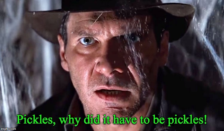 Indiana Jones on pickles. | Pickles, why did it have to be pickles! | image tagged in pickles | made w/ Imgflip meme maker