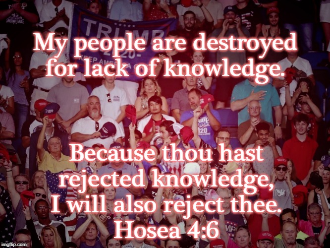 My people are destroyed for lack of knowledge | My people are destroyed
for lack of knowledge. Because thou hast
rejected knowledge,
I will also reject thee.
Hosea 4:6 | image tagged in bible,old testament,deplorables,knowledge | made w/ Imgflip meme maker