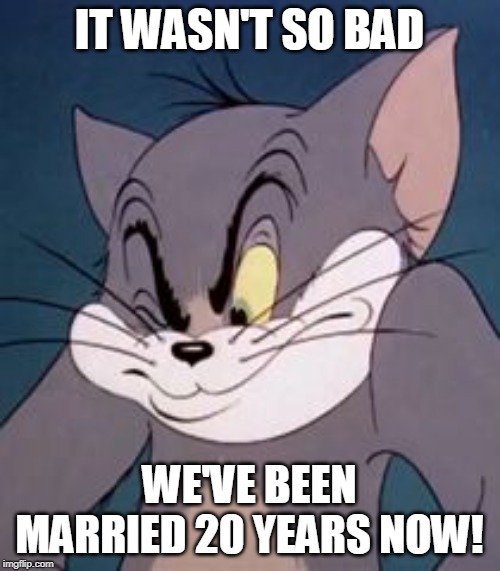 Tom cat | IT WASN'T SO BAD WE'VE BEEN MARRIED 20 YEARS NOW! | image tagged in tom cat | made w/ Imgflip meme maker