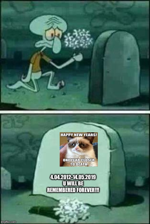 R.I.P Grumpy Cat | 4.04.2012-14.05.2019 U WILL BE REMEMBERED FOREVER!!! | image tagged in grave spongebob,grumpy cat | made w/ Imgflip meme maker