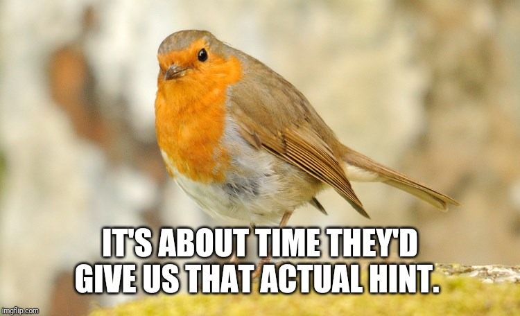 U wot m8 Robin | IT'S ABOUT TIME THEY'D GIVE US THAT ACTUAL HINT. | image tagged in u wot m8 robin | made w/ Imgflip meme maker