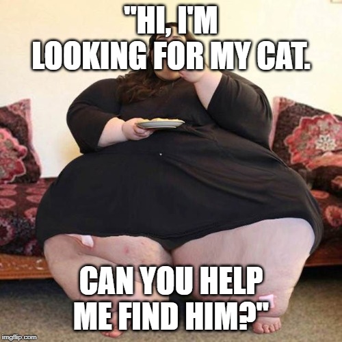 I think it's UNDER you! | "HI, I'M LOOKING FOR MY CAT. CAN YOU HELP ME FIND HIM?" | image tagged in fat legs | made w/ Imgflip meme maker