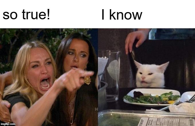 Woman Yelling At Cat Meme | so true! I know | image tagged in memes,woman yelling at cat | made w/ Imgflip meme maker