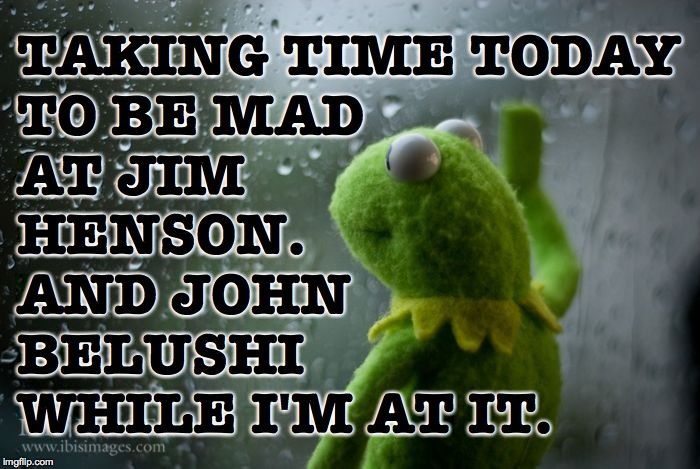 You're a national treasure so take care of your damn self. | TAKING TIME TODAY
TO BE MAD
AT JIM
HENSON.
AND JOHN
BELUSHI
WHILE I'M AT IT. | image tagged in kermit window,memes,mad,belushi,jim henson,national treasure | made w/ Imgflip meme maker