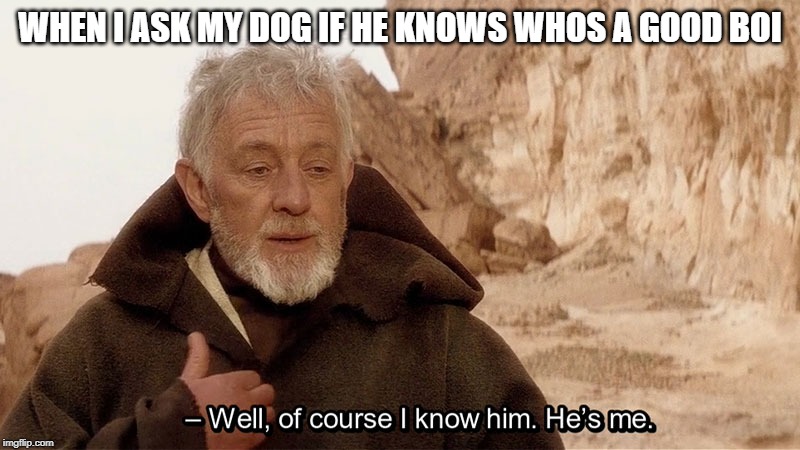 Obi wan Well of course I know him, he's me. | WHEN I ASK MY DOG IF HE KNOWS WHOS A GOOD BOI | image tagged in obi wan well of course i know him he's me | made w/ Imgflip meme maker