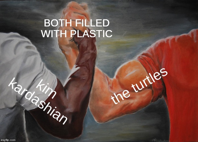 Epic Handshake | BOTH FILLED WITH PLASTIC; the turtles; kim kardashian | image tagged in memes,epic handshake | made w/ Imgflip meme maker