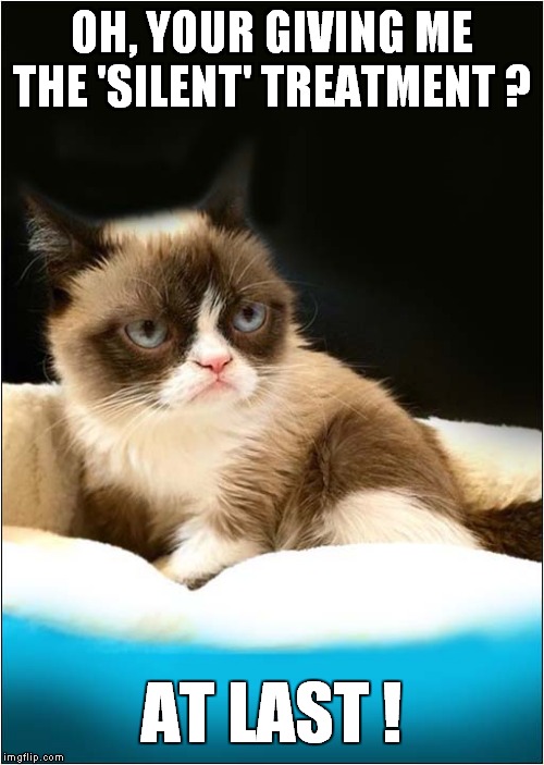 Grumpys Wants To Be Alone | OH, YOUR GIVING ME THE 'SILENT' TREATMENT ? AT LAST ! | image tagged in fun,grumpy cat | made w/ Imgflip meme maker