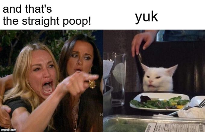 Woman Yelling At Cat Meme | and that's the straight poop! yuk | image tagged in memes,woman yelling at cat | made w/ Imgflip meme maker