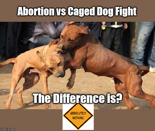 Abortion's Dog fight | Abortion vs Caged Dog Fight; The Difference is? | image tagged in abortion,democrats,baby killiing | made w/ Imgflip meme maker