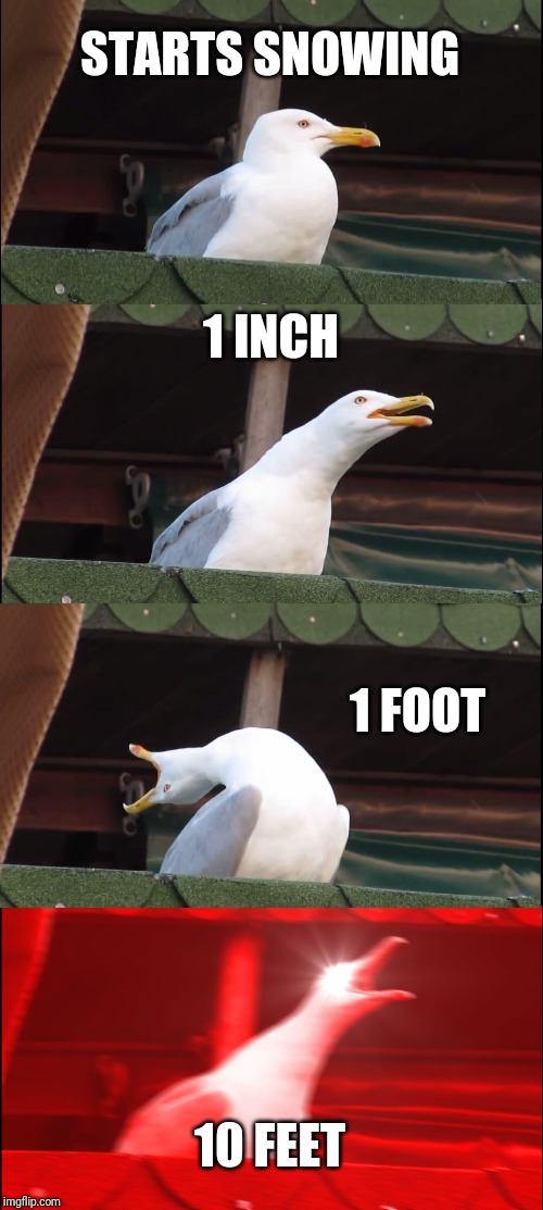 Inhaling Seagull | STARTS SNOWING; 1 INCH; 1 FOOT; 10 FEET | image tagged in memes,inhaling seagull | made w/ Imgflip meme maker