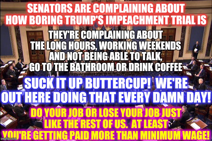 S p o i l e d   R o t t e n | SENATORS ARE COMPLAINING ABOUT HOW BORING TRUMP'S IMPEACHMENT TRIAL IS; THEY'RE COMPLAINING ABOUT THE LONG HOURS, WORKING WEEKENDS AND NOT BEING ABLE TO TALK, GO TO THE BATHROOM OR DRINK COFFEE; SUCK IT UP BUTTERCUP!  WE'RE OUT HERE DOING THAT EVERY DAMN DAY! DO YOUR JOB OR LOSE YOUR JOB JUST LIKE THE REST OF US.  AT LEAST YOU'RE GETTING PAID MORE THAN MINIMUM WAGE! | image tagged in senate floor,senators,moscow mitch,memes,do your job,trump unfit unqualified dangerous | made w/ Imgflip meme maker