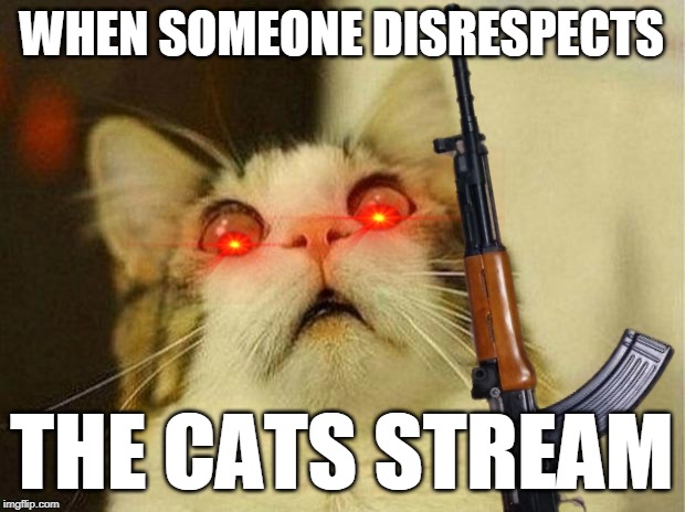 WHEN SOMEONE DISRESPECTS; THE CATS STREAM | image tagged in cats with guns,funny cats,cats | made w/ Imgflip meme maker