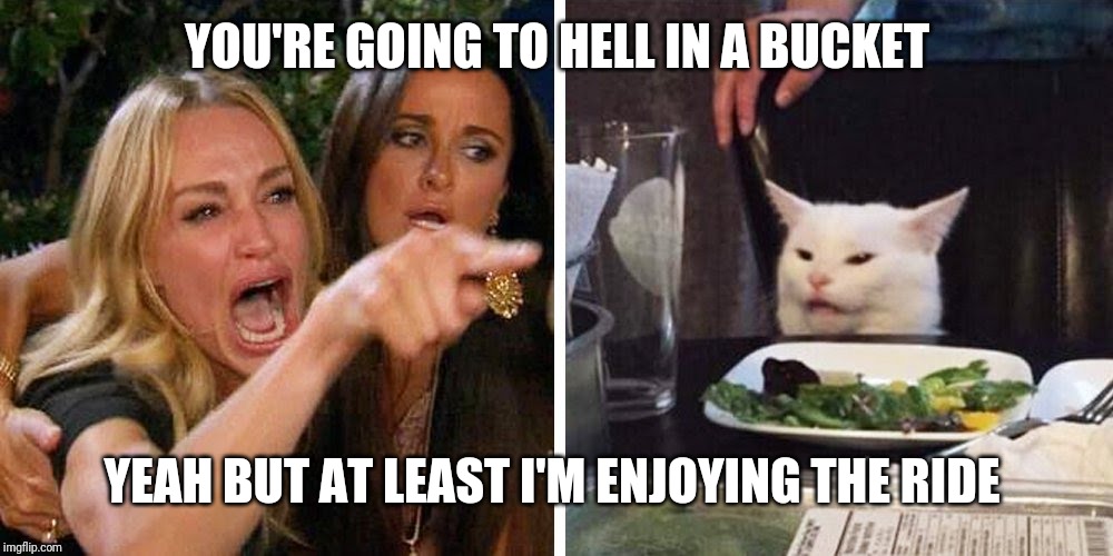 Smudge the cat | YOU'RE GOING TO HELL IN A BUCKET; YEAH BUT AT LEAST I'M ENJOYING THE RIDE | image tagged in smudge the cat | made w/ Imgflip meme maker