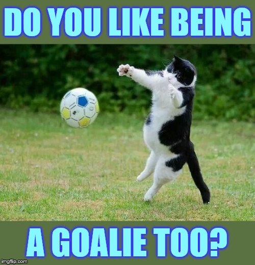 DO YOU LIKE BEING A GOALIE TOO? | made w/ Imgflip meme maker