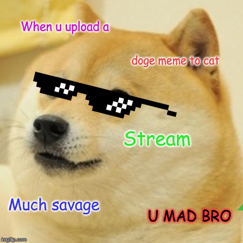 Doge Meme | When u upload a; doge meme to cat; Stream; Much savage; U MAD BRO | image tagged in memes,doge,cats | made w/ Imgflip meme maker