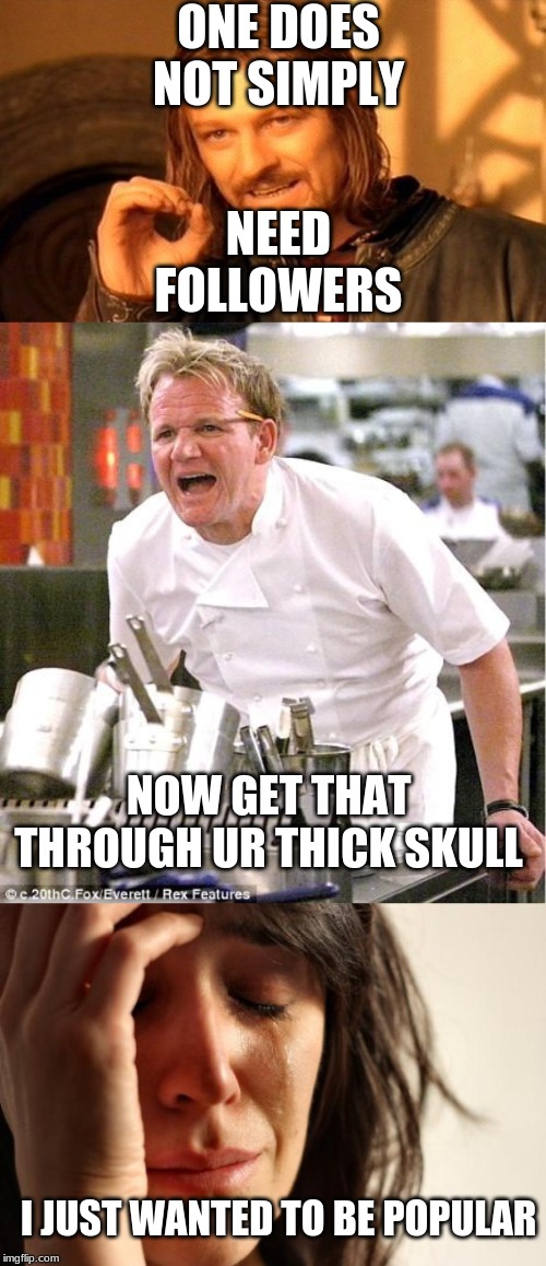 ONE DOES NOT SIMPLY; NEED FOLLOWERS; NOW GET THAT THROUGH UR THICK SKULL; I JUST WANTED TO BE POPULAR | image tagged in memes,first world problems,one does not simply,chef gordon ramsay | made w/ Imgflip meme maker