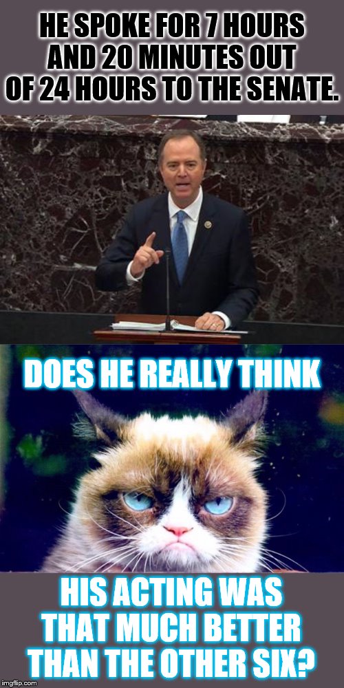 The Reason Trump's Impeachment Is Called The Adam Schiff Show | HE SPOKE FOR 7 HOURS AND 20 MINUTES OUT OF 24 HOURS TO THE SENATE. DOES HE REALLY THINK; HIS ACTING WAS THAT MUCH BETTER THAN THE OTHER SIX? | image tagged in memes,politics,adam schiff,talking,too much,grumpy cat | made w/ Imgflip meme maker