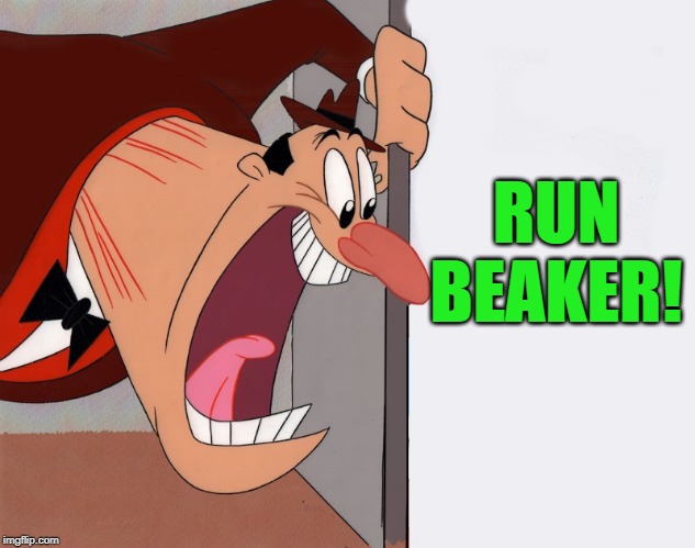 yelling guy | RUN BEAKER! | image tagged in yelling guy | made w/ Imgflip meme maker