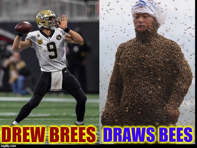 You Should Know the Difference | DRAWS BEES; DREW BREES | image tagged in vince vance,drew brees,quarterback,beekeeper,new orleans saints,honey | made w/ Imgflip meme maker