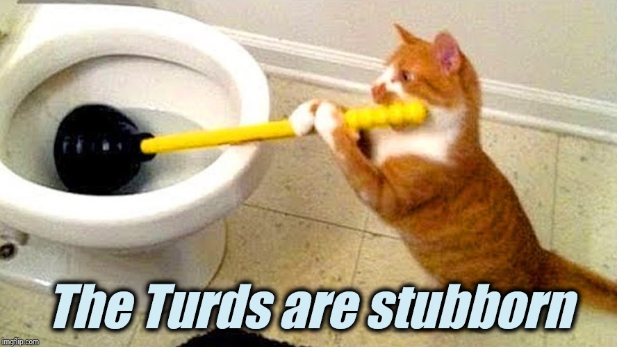 Cat Plunger | The Turds are stubborn | image tagged in cat plunger | made w/ Imgflip meme maker