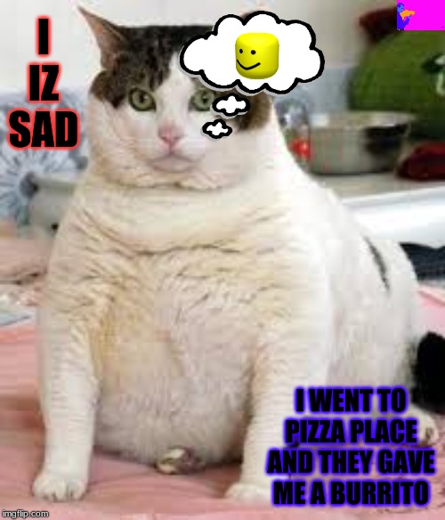 I IZ SAD; I WENT TO PIZZA PLACE AND THEY GAVE ME A BURRITO | image tagged in grumpy cat,funny cat memes,sad cat | made w/ Imgflip meme maker