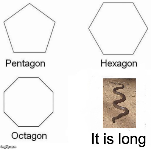 Pentagon Hexagon Octagon | It is long | image tagged in memes,pentagon hexagon octagon | made w/ Imgflip meme maker