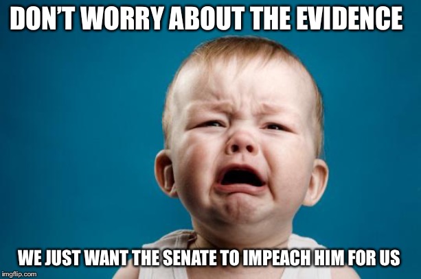 BABY CRYING |  DON’T WORRY ABOUT THE EVIDENCE; WE JUST WANT THE SENATE TO IMPEACH HIM FOR US | image tagged in baby crying | made w/ Imgflip meme maker