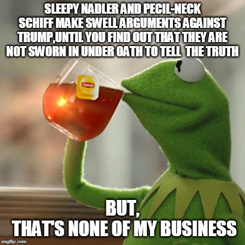 But That's None Of My Business | SLEEPY NADLER AND PECIL-NECK SCHIFF MAKE SWELL ARGUMENTS AGAINST TRUMP,UNTIL YOU FIND OUT THAT THEY ARE NOT SWORN IN UNDER OATH TO TELL  THE TRUTH; BUT,           THAT'S NONE OF MY BUSINESS | image tagged in but thats none of my business,kermit the frog,adam schiff,trump impeachment | made w/ Imgflip meme maker
