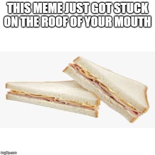 Blank Transparent Square Meme | THIS MEME JUST GOT STUCK ON THE ROOF OF YOUR MOUTH | image tagged in memes,blank transparent square | made w/ Imgflip meme maker