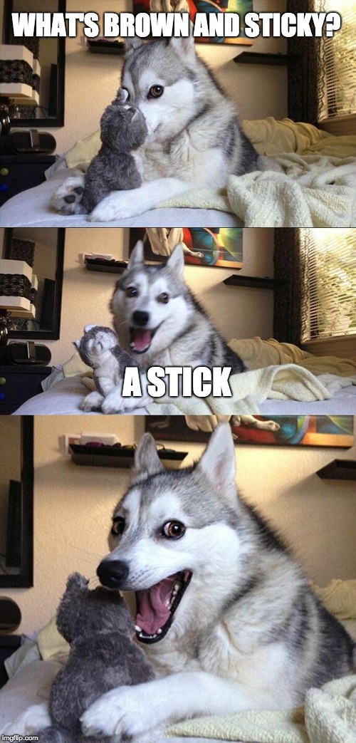 Bad Pun Dog | WHAT'S BROWN AND STICKY? A STICK | image tagged in memes,bad pun dog | made w/ Imgflip meme maker