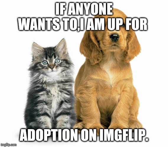 Mother's Day  pets animals cats dogs adoption | IF ANYONE WANTS TO,I AM UP FOR; ADOPTION ON IMGFLIP. | image tagged in mother's day pets animals cats dogs adoption | made w/ Imgflip meme maker