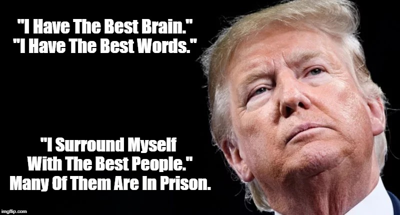 Trump Surrounds Himself With "The Best People": Many Of Them Are In Prison | "I Have The Best Brain."
"I Have The Best Words." "I Surround Myself 
With The Best People."
Many Of Them Are In Prison. | image tagged in deplorable donald,despicable donald,mafia don,lock him up | made w/ Imgflip meme maker