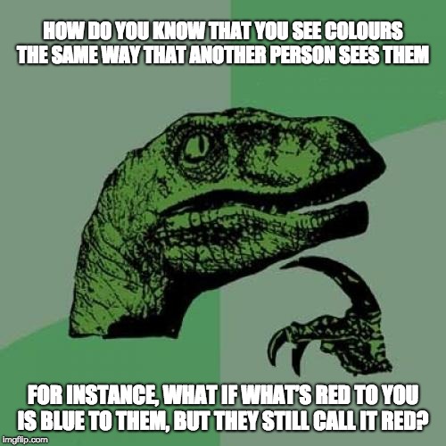 Philosoraptor | HOW DO YOU KNOW THAT YOU SEE COLOURS THE SAME WAY THAT ANOTHER PERSON SEES THEM; FOR INSTANCE, WHAT IF WHAT’S RED TO YOU IS BLUE TO THEM, BUT THEY STILL CALL IT RED? | image tagged in memes,philosoraptor | made w/ Imgflip meme maker