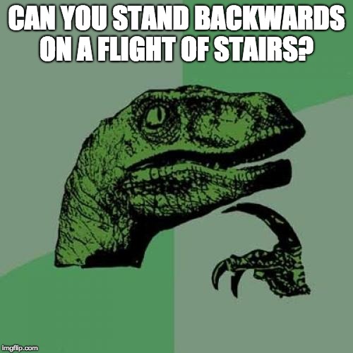 Philosoraptor | CAN YOU STAND BACKWARDS ON A FLIGHT OF STAIRS? | image tagged in memes,philosoraptor | made w/ Imgflip meme maker