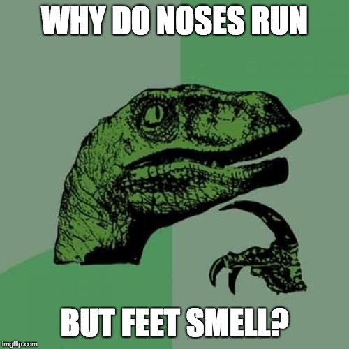 Philosoraptor | WHY DO NOSES RUN; BUT FEET SMELL? | image tagged in memes,philosoraptor | made w/ Imgflip meme maker