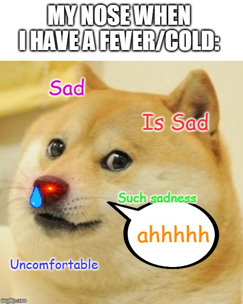 Doge Meme | MY NOSE WHEN I HAVE A FEVER/COLD:; Sad; Is Sad; Such sadness; ahhhhh; Uncomfortable | image tagged in memes,doge | made w/ Imgflip meme maker