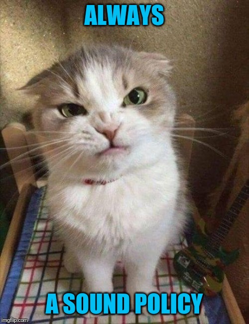Angry cat | ALWAYS A SOUND POLICY | image tagged in angry cat | made w/ Imgflip meme maker