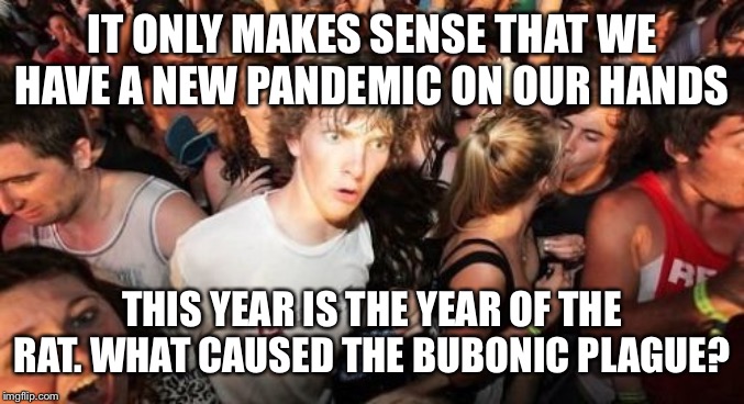 Rats! | IT ONLY MAKES SENSE THAT WE HAVE A NEW PANDEMIC ON OUR HANDS; THIS YEAR IS THE YEAR OF THE RAT. WHAT CAUSED THE BUBONIC PLAGUE? | image tagged in memes,sudden clarity clarence | made w/ Imgflip meme maker