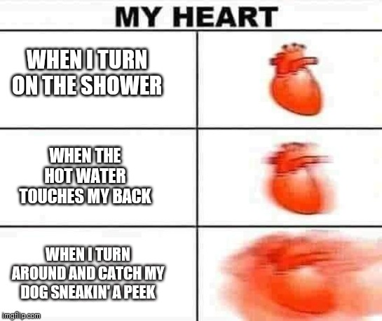 My heart | WHEN I TURN ON THE SHOWER; WHEN THE HOT WATER TOUCHES MY BACK; WHEN I TURN AROUND AND CATCH MY DOG SNEAKIN' A PEEK | image tagged in heart,dog,shower | made w/ Imgflip meme maker