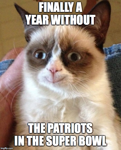 Grumpy Cat Happy | FINALLY A YEAR WITHOUT; THE PATRIOTS IN THE SUPER BOWL | image tagged in memes,grumpy cat happy,grumpy cat | made w/ Imgflip meme maker