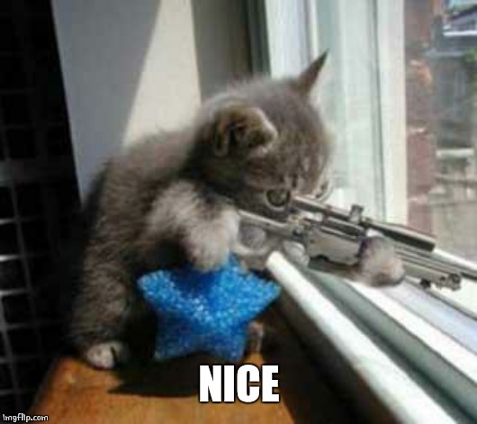 CatSniper | NICE | image tagged in catsniper | made w/ Imgflip meme maker