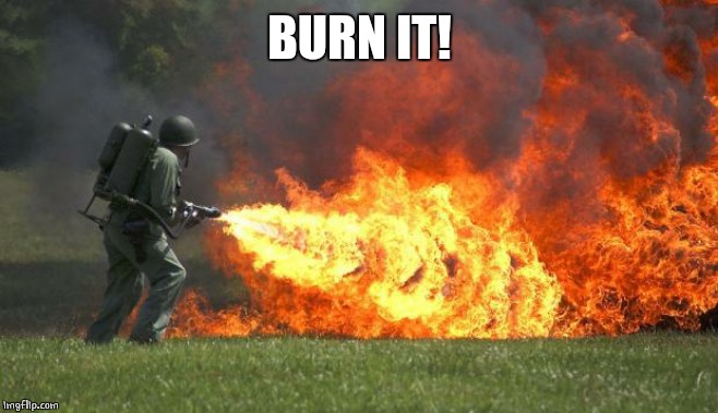 flamethrower | BURN IT! | image tagged in flamethrower | made w/ Imgflip meme maker