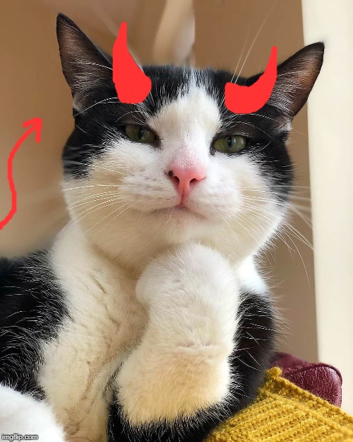 Ememeon I Don't Always | image tagged in ememeon i don't always | made w/ Imgflip meme maker