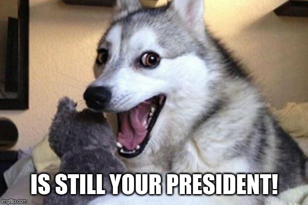 Bad Pun Dog | IS STILL YOUR PRESIDENT! | image tagged in bad pun dog | made w/ Imgflip meme maker