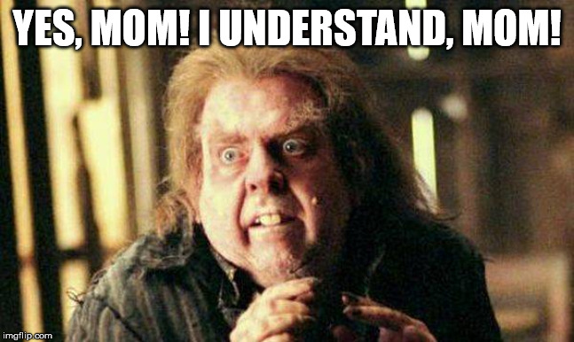 Peter Pettigrew In Fear | YES, MOM! I UNDERSTAND, MOM! | image tagged in peter pettigrew in fear | made w/ Imgflip meme maker
