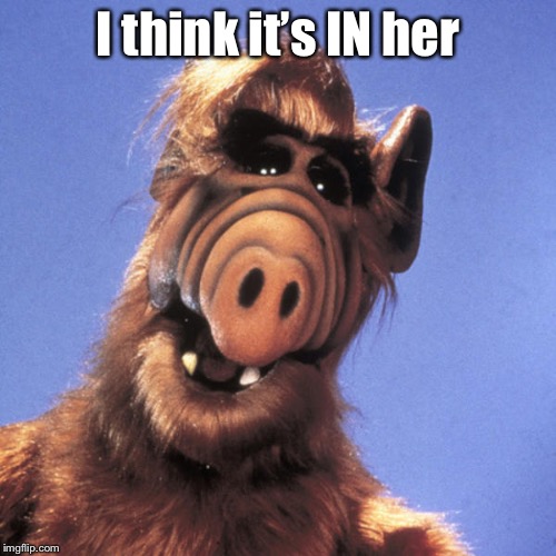 Alf  | I think it’s IN her | image tagged in alf | made w/ Imgflip meme maker
